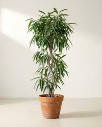 каталог