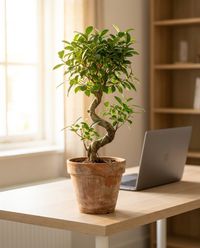 офис