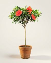 каталог
