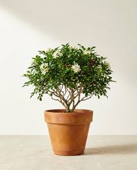 каталог