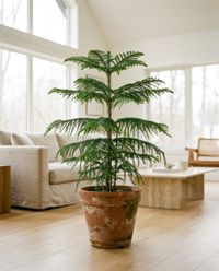 крупное