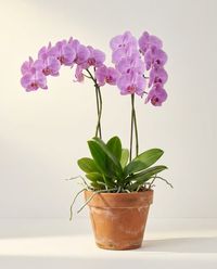 каталог