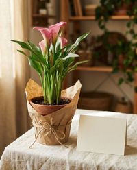 подарок