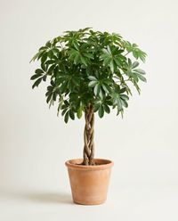 каталог