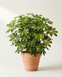 каталог