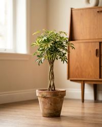 интерьер