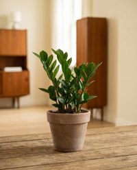 интерьер