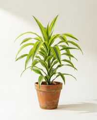 каталог