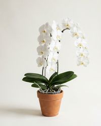каталог