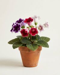 каталог