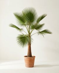 каталог