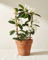 каталог
