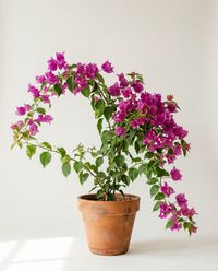 каталог