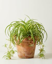каталог