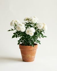 каталог