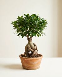 каталог