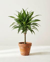 каталог
