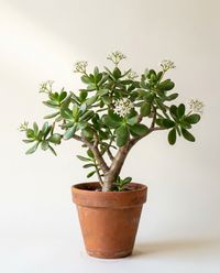 каталог