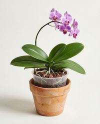 каталог